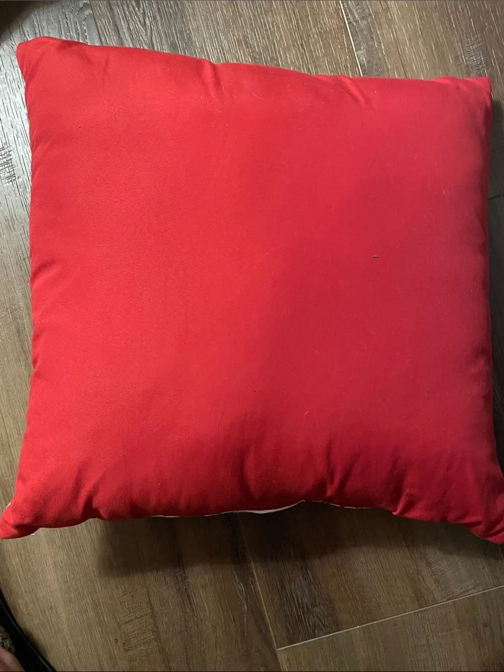 Holiday Time “Peace”Throw Pillow 16” x 16”
